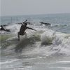 aaroncox381